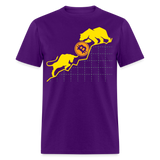 Bitcoin shirt BTC Hodlers Bull Run Fight Bear Market Crypto T-Shirt Size S-6XL - purple